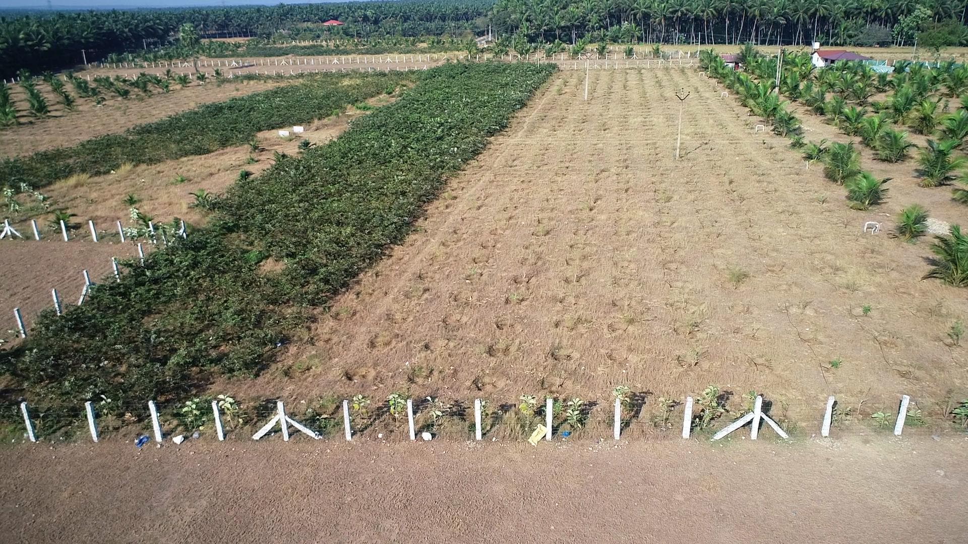 REAL VALUE GOLDEN FARMS - Main Image