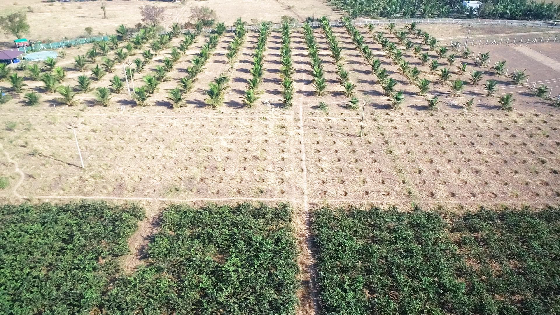 REAL VALUE GOLDEN FARMS - Thumbnail 2