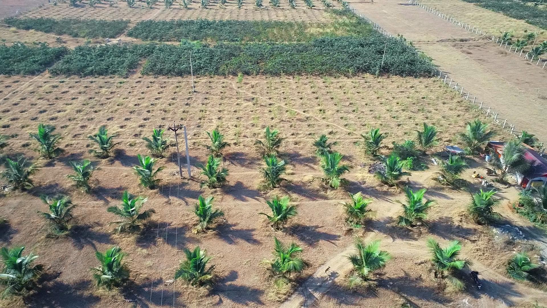 REAL VALUE GOLDEN FARMS - Thumbnail 4