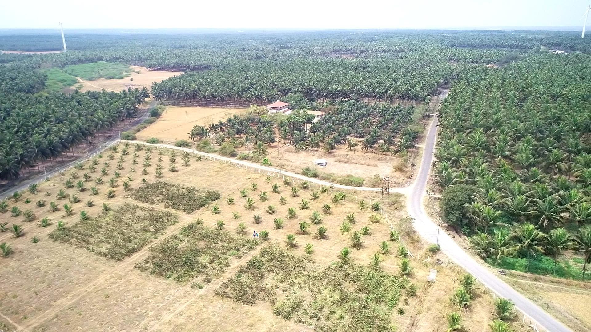REAL VALUE GOLDEN FARMS - Thumbnail 6